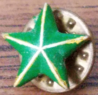 green star lapel pin