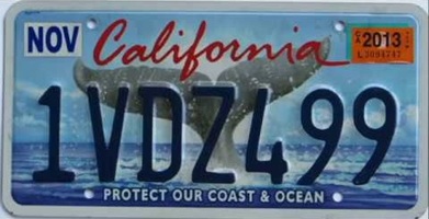 Whale tail 2 plate, 1VDZ499
